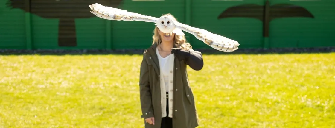 Bird of Prey, Cliffs of Moher and Aillwee Cave from Dublin