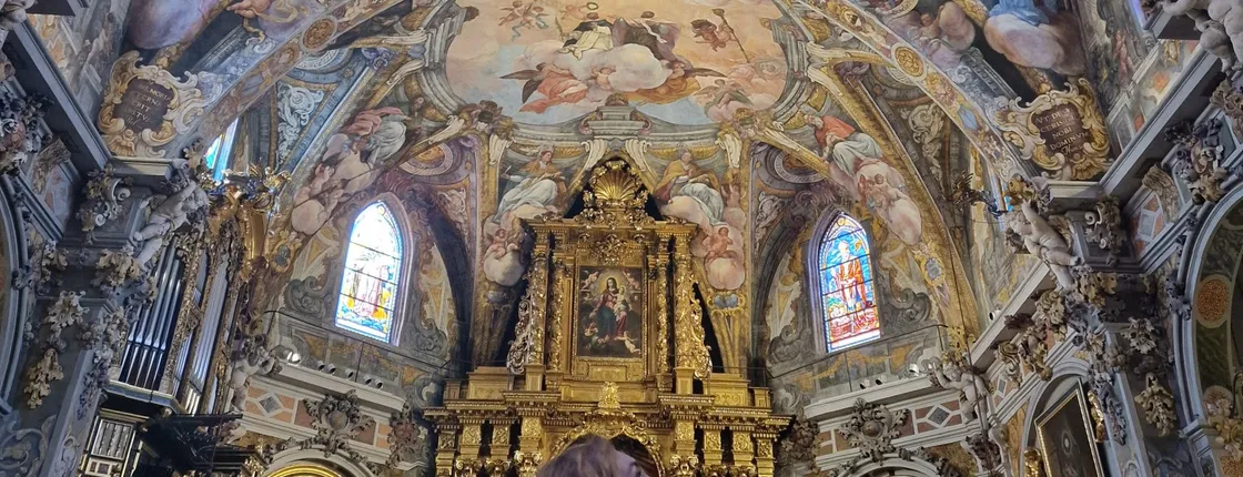 Valencia Spanish tour with entry to La Lonja, Catedral and San Nicolás