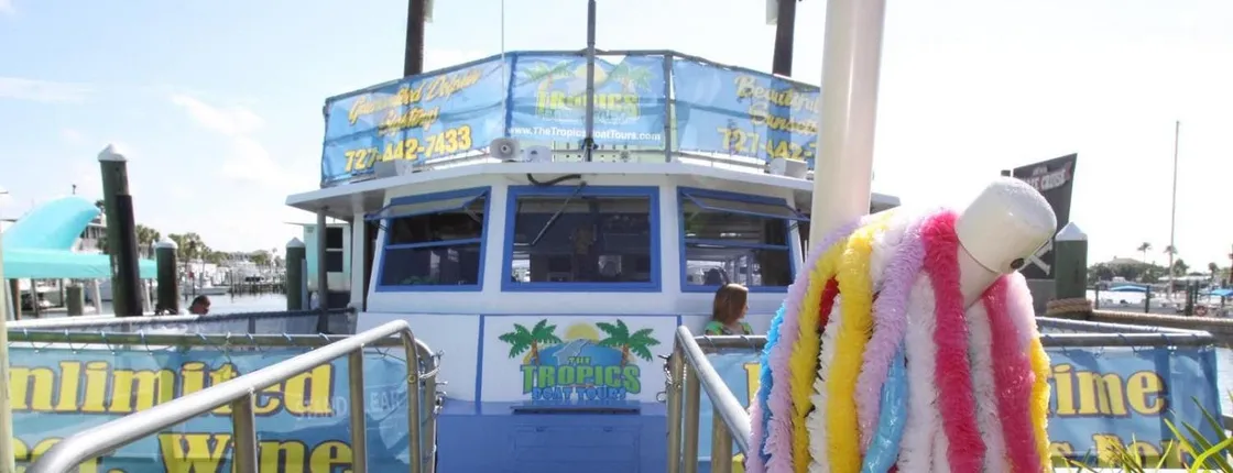 Clearwater Beach day trip with dolphin watching cruise