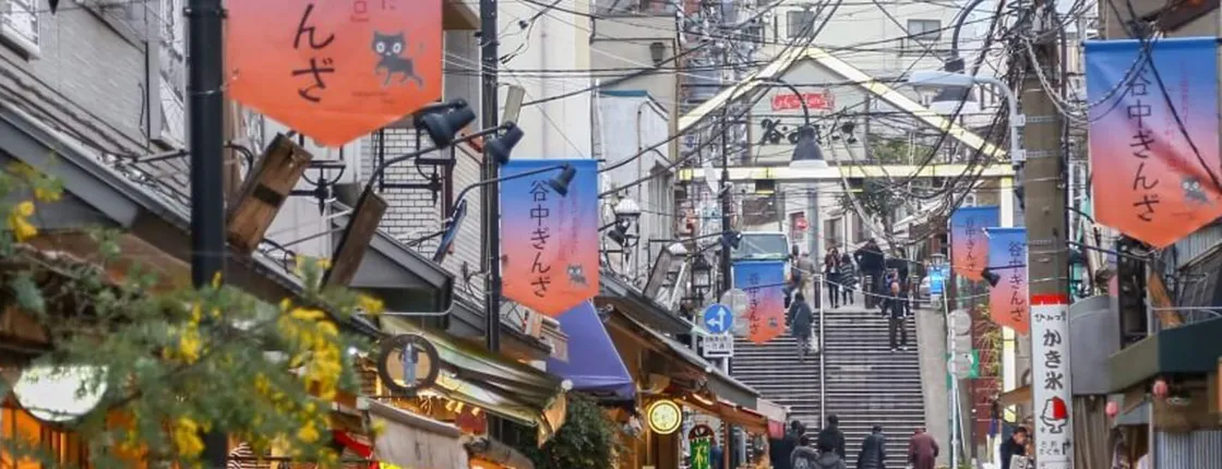 3-hour food tour of Tokyo's Old Town