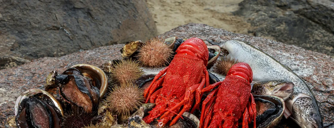Tasmanian Seafood Seduction cruise