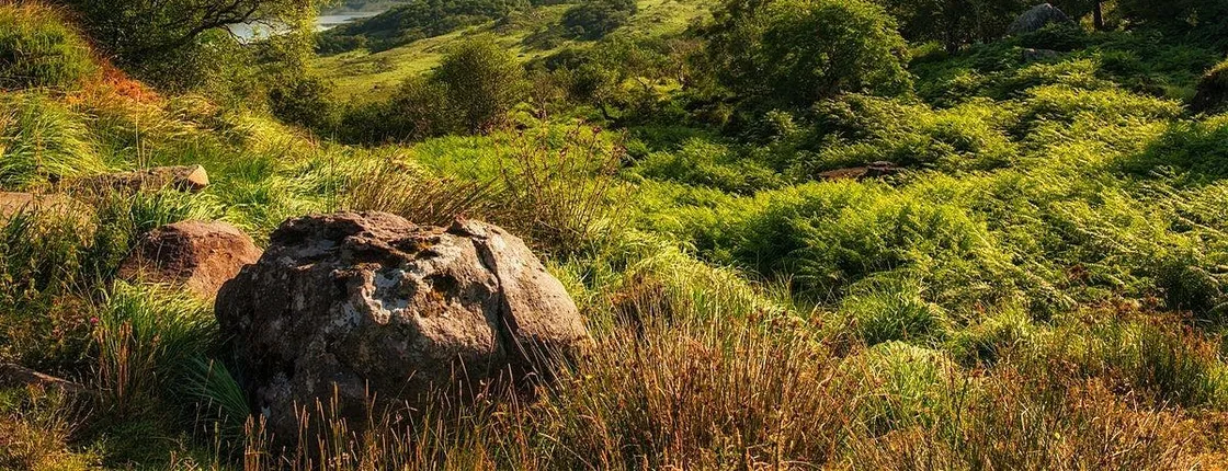Self-guided electric bike tour from Killarney