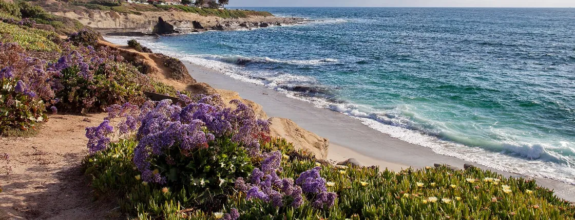 Ultimate La Jolla Self-Guided Combo Tour