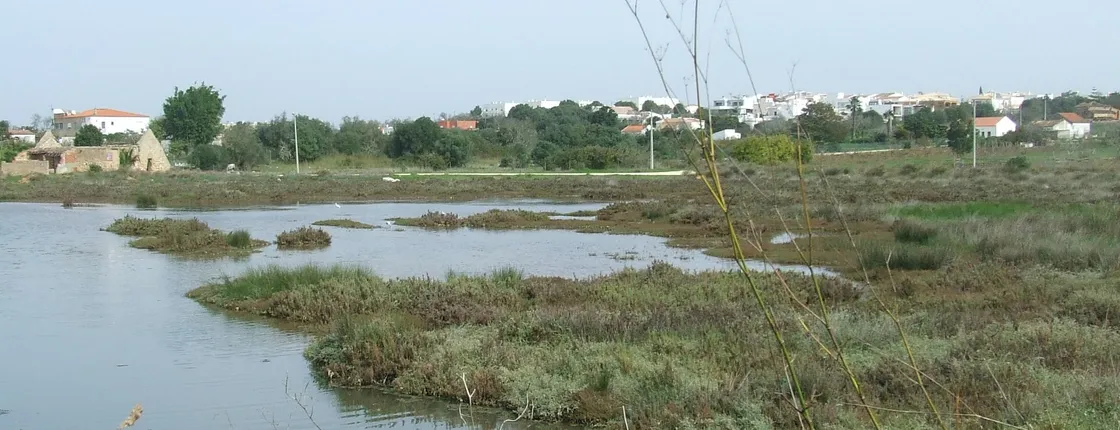 Abicada lagoon half-day tour