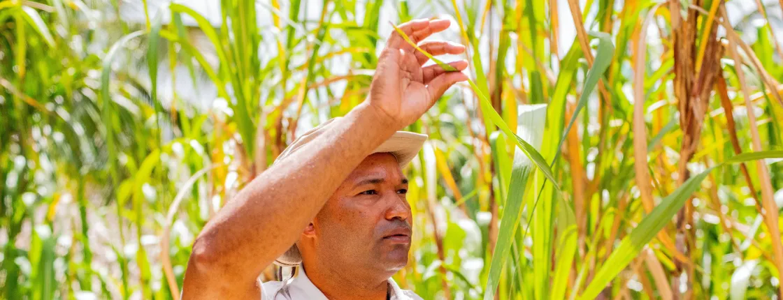 Dominican Countryside Tour