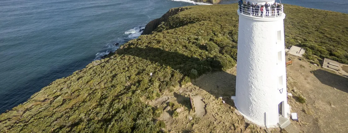 Bruny Island safaris, local food tasting and lighthouse tour