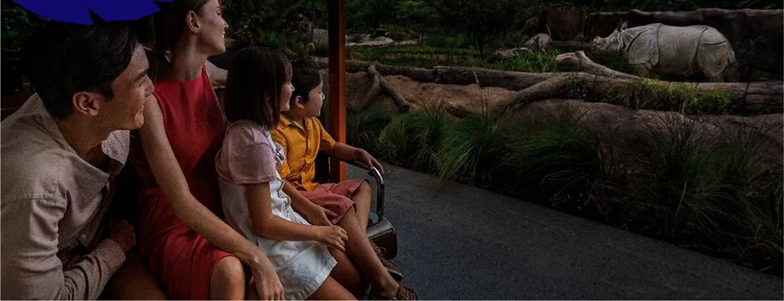 Singapore Night Safari park entrance ticket including tram ride