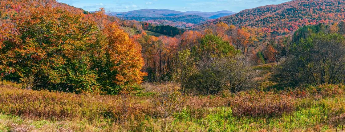 Catskills Scenic Byway Self-Guided Driving Audio Tour