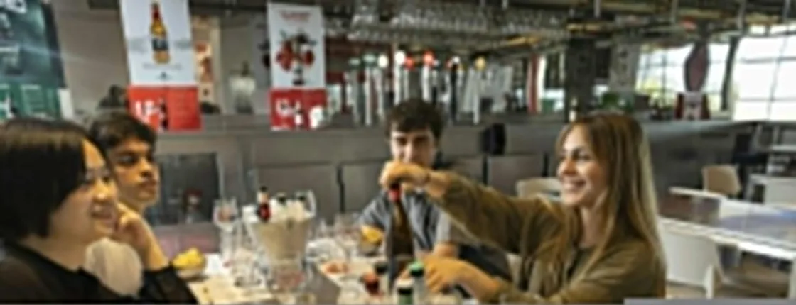 Estrella Damm brewery guided tour with tasting