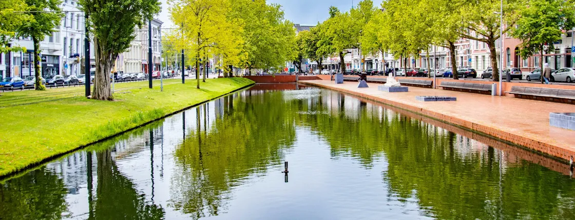 Architectural walk of Rotterdam with a local