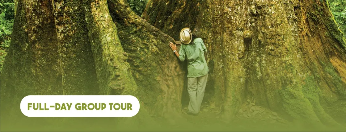 Discover Cuc Phuong National Park full-day tour from Ha Noi