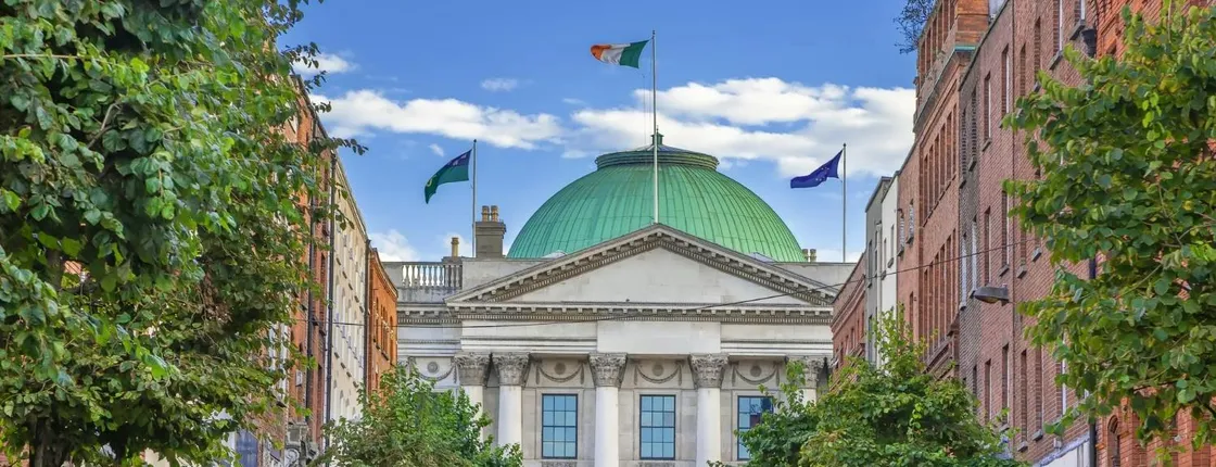 Explore Dublin 1-hour with a local