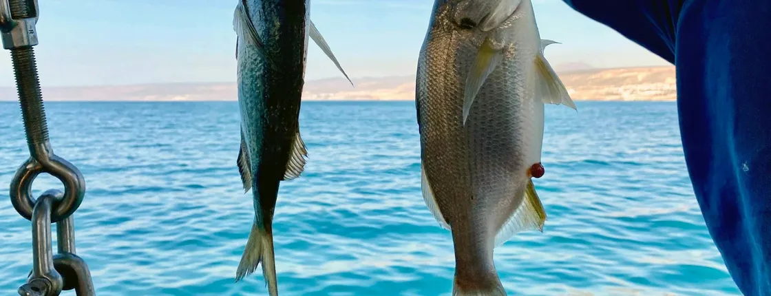 Agadir Fishing Experience