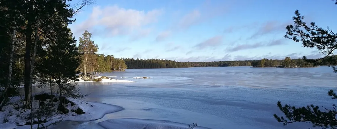 1-day small-group Stockholm nature hike with meal