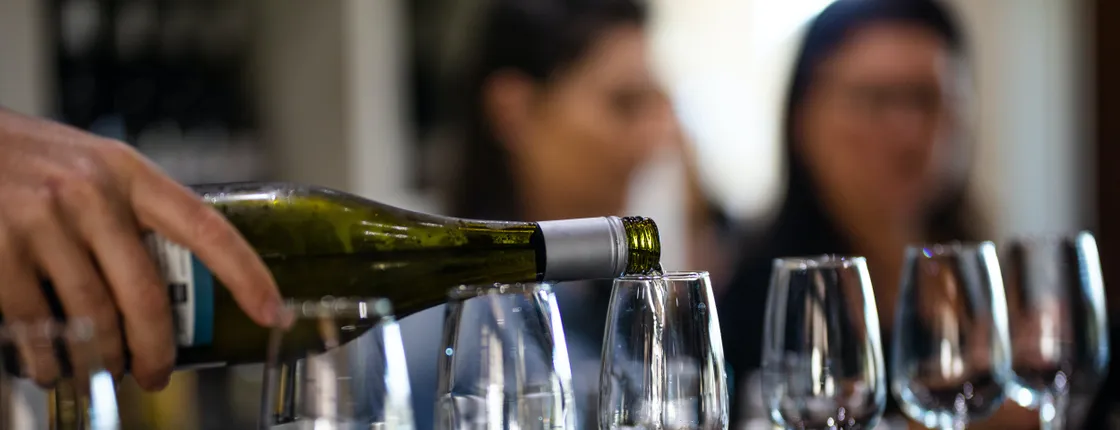 Full-day Mount Tamborine winery tour from Brisbane with lunch