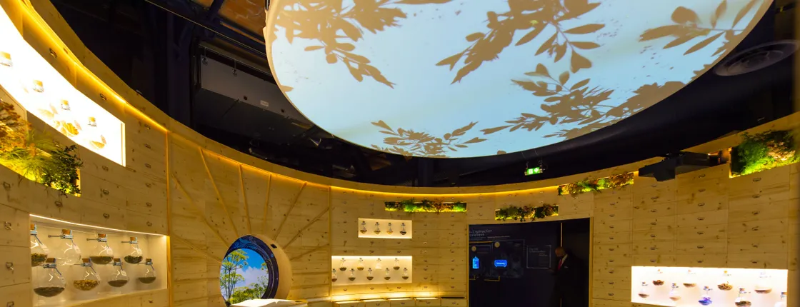 Museum of Anise and Provence with 4D Mehari Experience