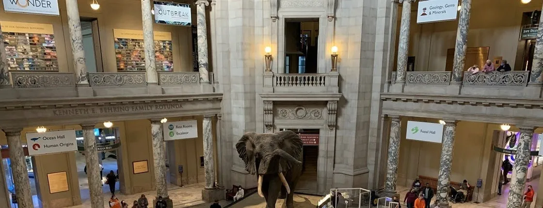 Washington DC Museum of Natural History private tour for families