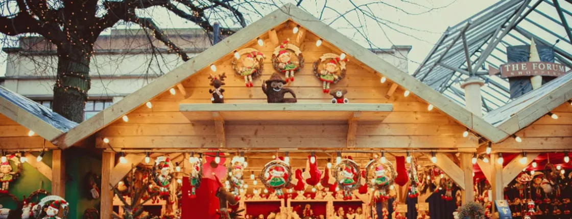 Stockholm Christmas market and lights walking tour with local guide