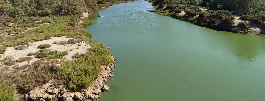 Full-Day Souss-Massa National Park in a 4x4 with Authentic Lunch