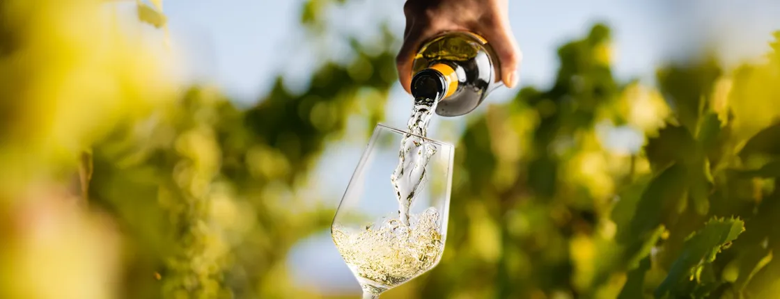 Wine tasting at Quinta dos Novais in Douro Valley
