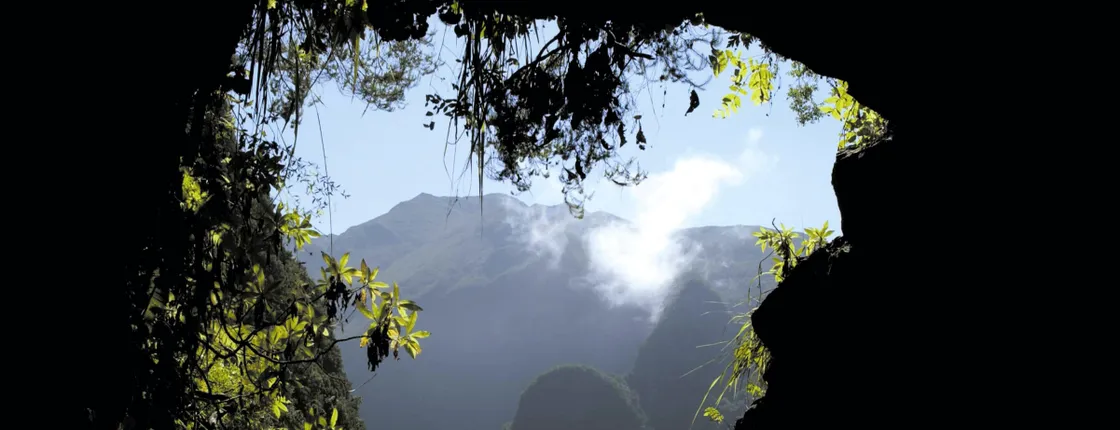 Madeira Caldeirao Verde & Queimadas Walking Tour