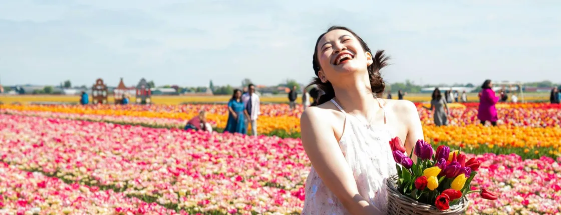 Tulip experience self-guided half-day tour in Amsterdam