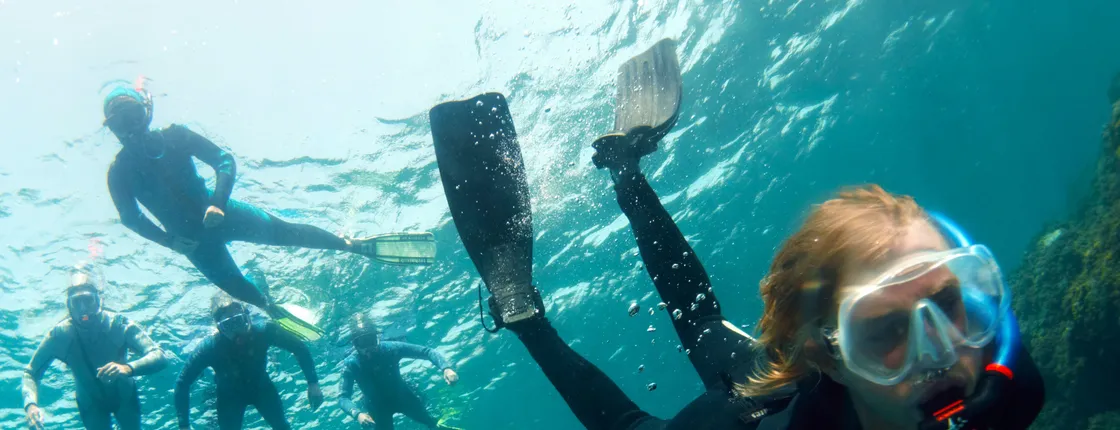 Abades Bay Snorkelling Ticket