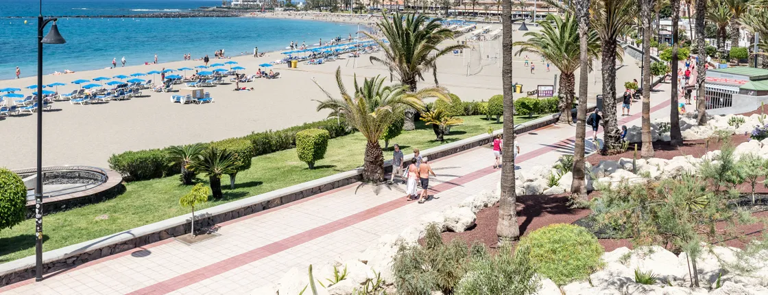 South Tenerife transfer
