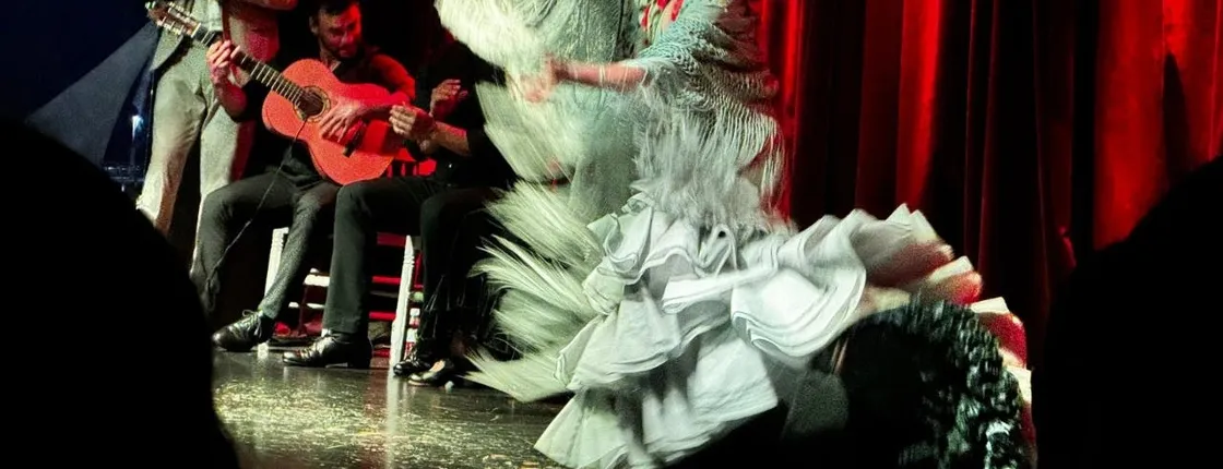 Dinner and Flamenco show in Alicante Marina with private transfer