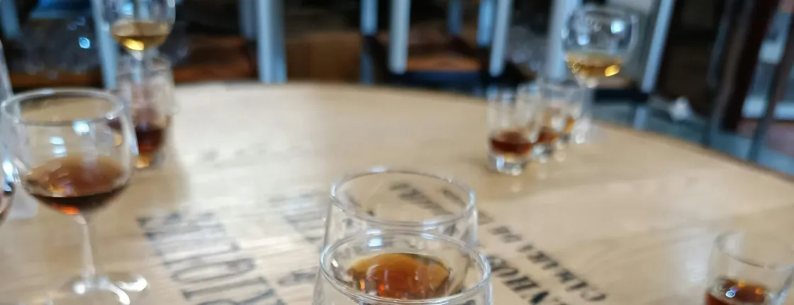 Wine flavours and tasting, skywalk and 4x4 jeep adventure