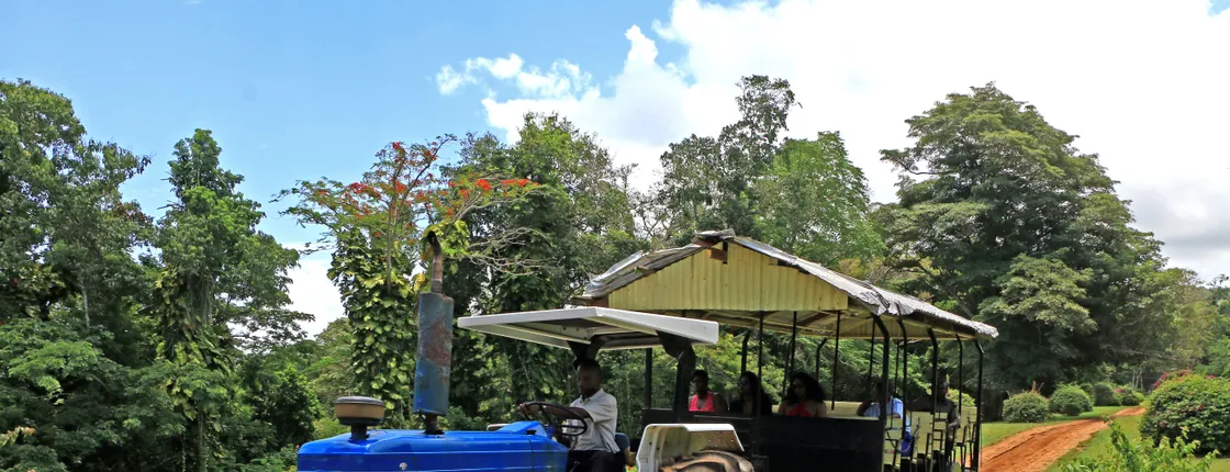 Yaaman Adventure Park