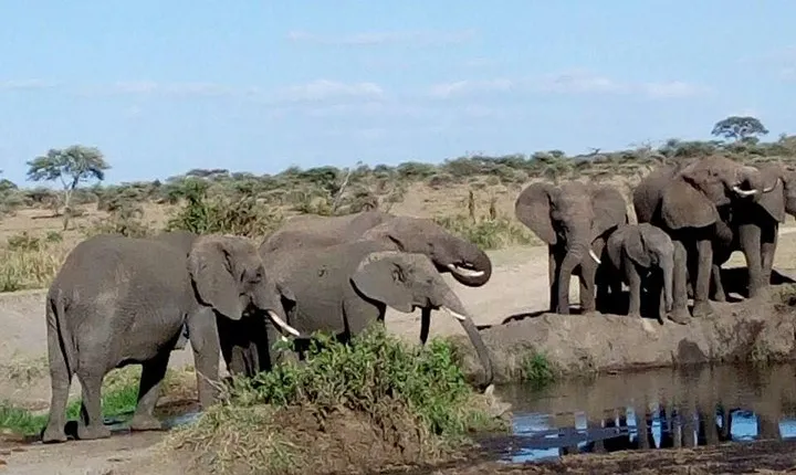 6-Day Nature and Beyond Safari