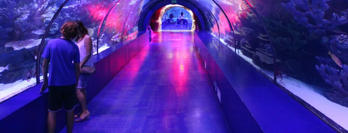 Antalya Aquarium and Old Town tour with Gold Centre visit
