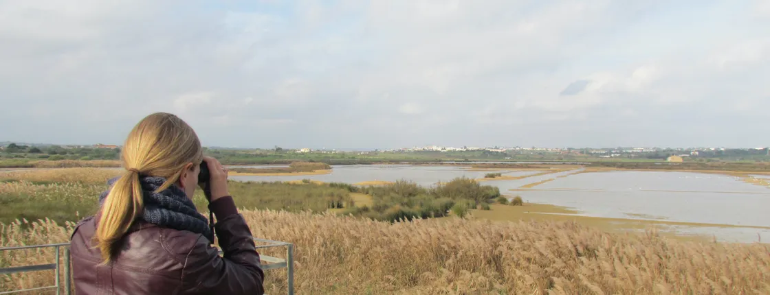 Lagoa dos Salgados half-day birdwatching tour
