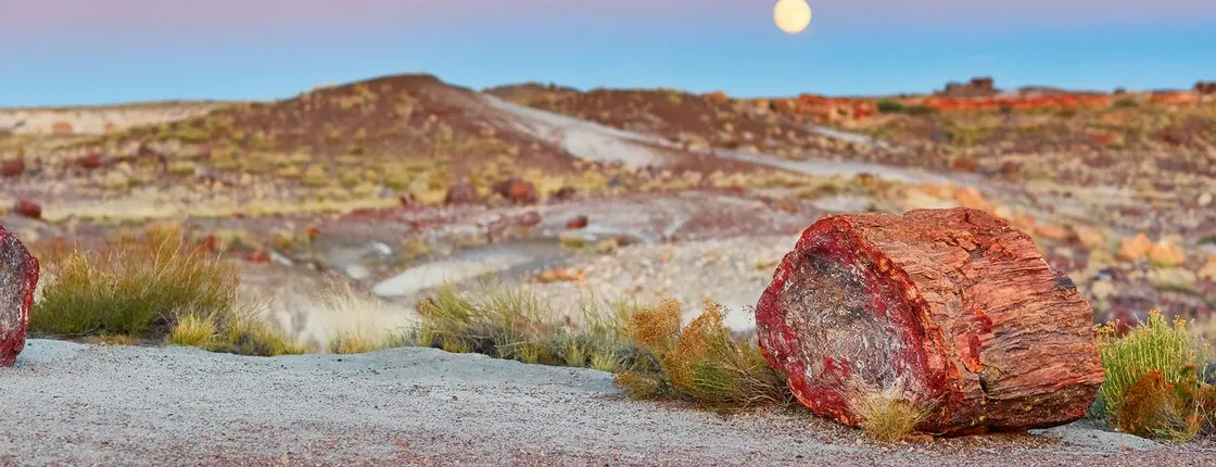 Self-Guided Driving Tour of Petrified Forest National Park