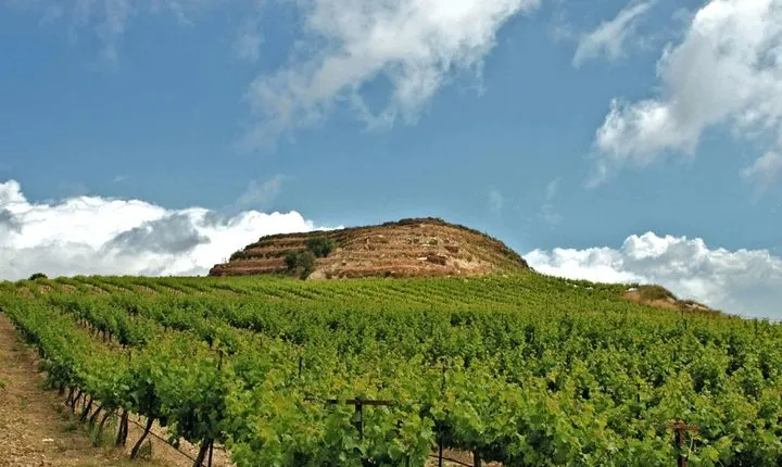 Crete Wine and Olive Oil Tour