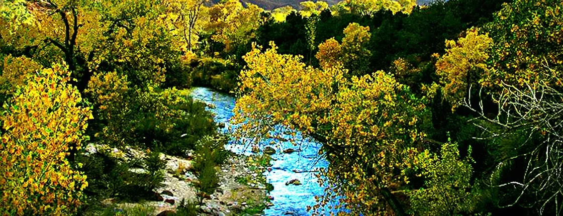 Zion National Park tour from Las Vegas