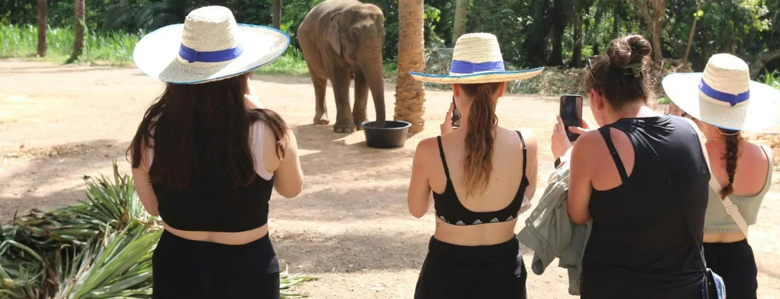 Elephant sanctuary Mini Moment from Krabi