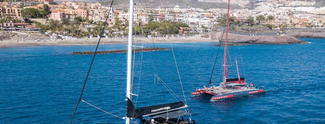 Whale and dolphin-watching catamaran trip – Freebird