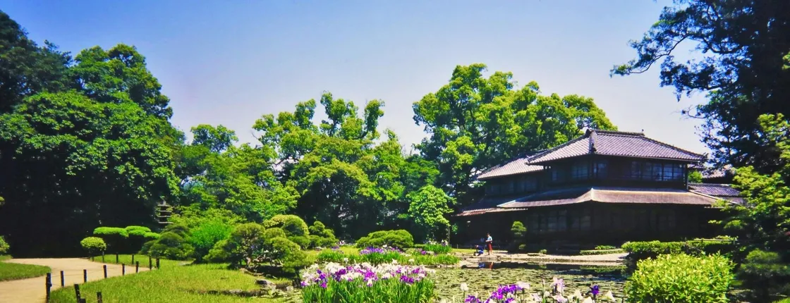 Yatsushiro private tour with Yatsushiro Shrine and Shohinken