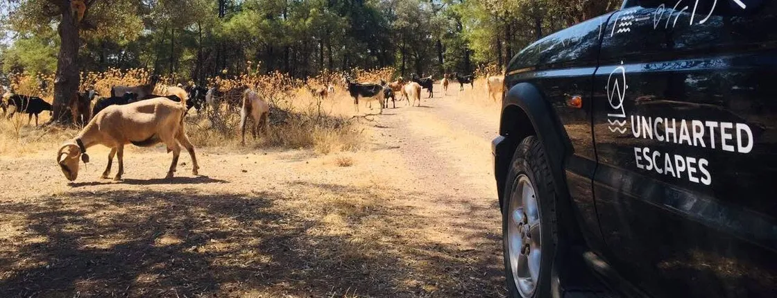 Explore more in Rhodes by 4x4 south route