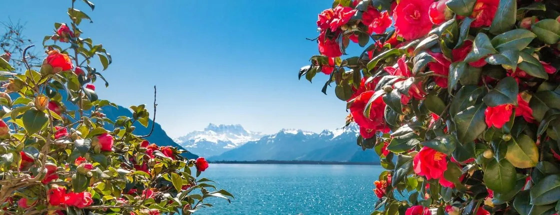 1-hour walking tour of Montreux with a local