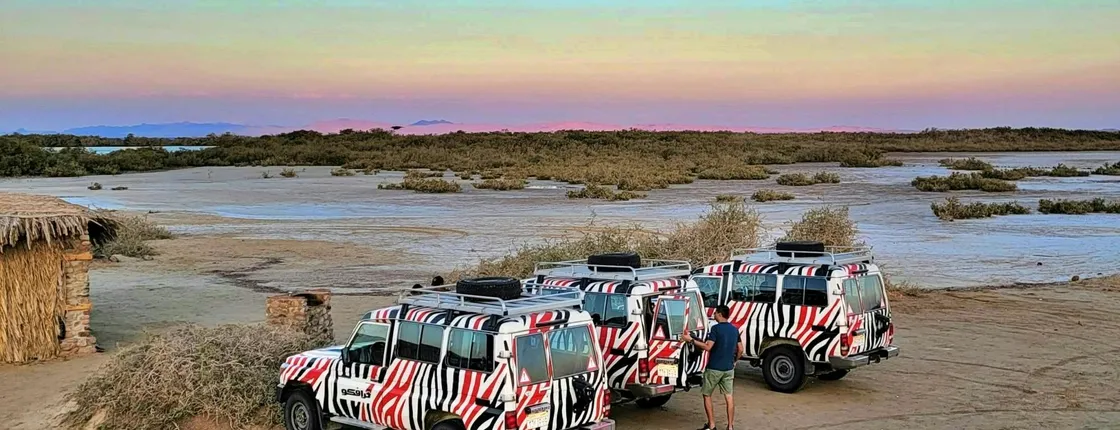 Half-day Nabq National Park safari with lunch in a bedouin tent