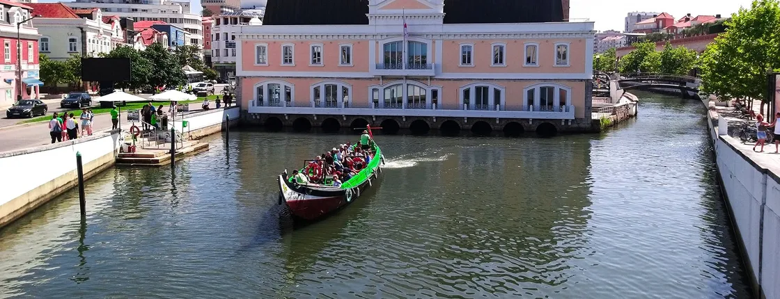 Aveiro and Costa Nova beach private tour