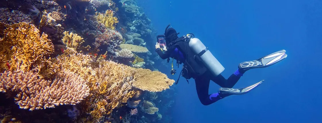 Introductory diving course with Scuba Plus