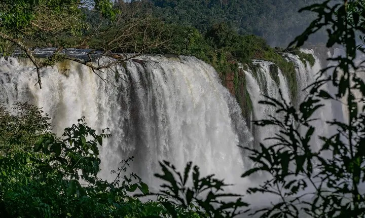 4-Day Guided Tour of Iguazu Falls