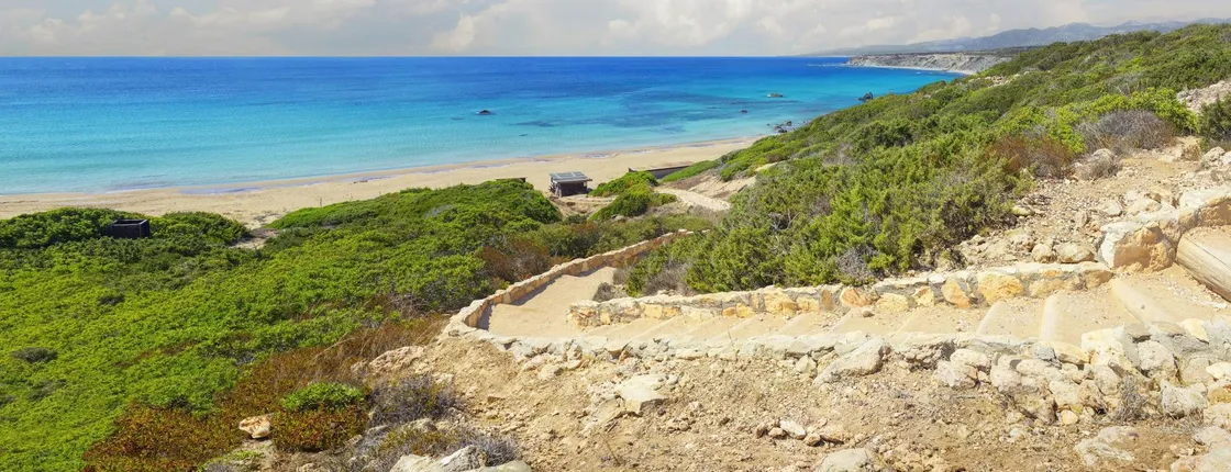 Akamas Peninsula Half-day 4x4 Summer Tour