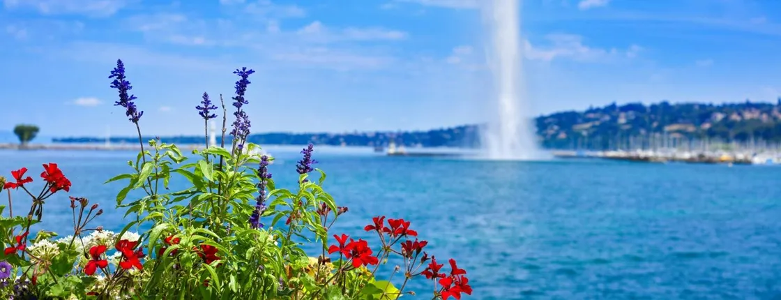 Explore the Instaworthy spots of Geneva with a local