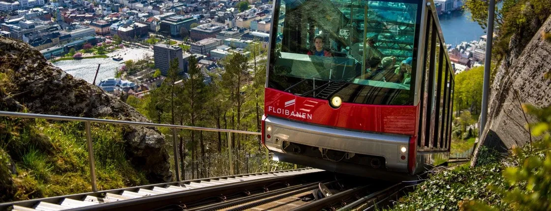 Mostraumen cruise, historic city walk and Flöyen funicular guided tour
