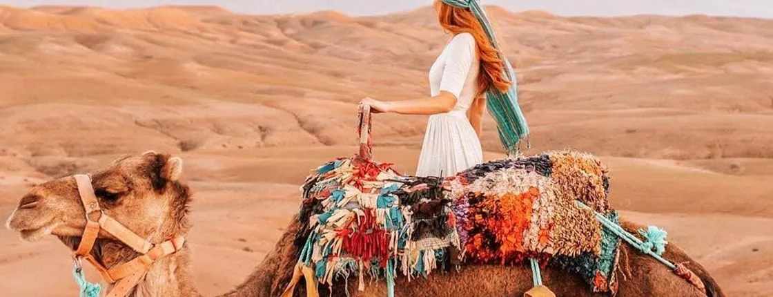 Sunset camel ride and dinner in the desert of Agafay